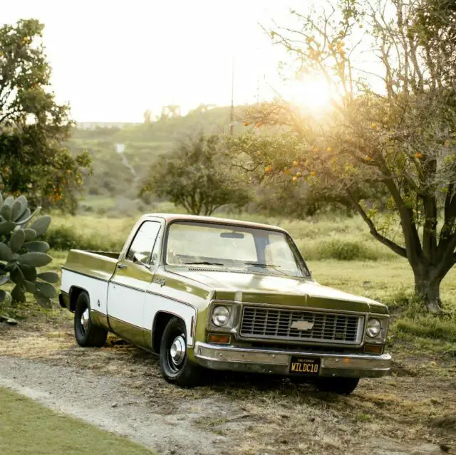 1973 Chevrolet C-10 Custom Deluxe 10