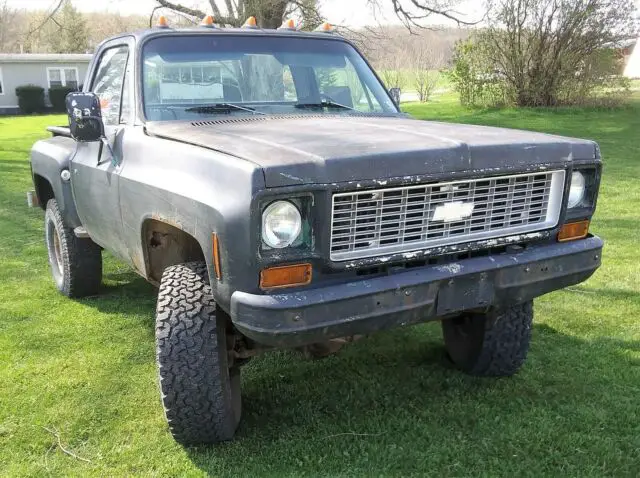 1973 Chevrolet C/K Pickup 1500 Cheyenne