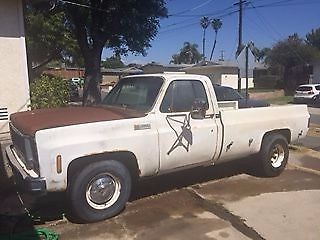 1973 Chevrolet Other Pickups C20 Camper Special