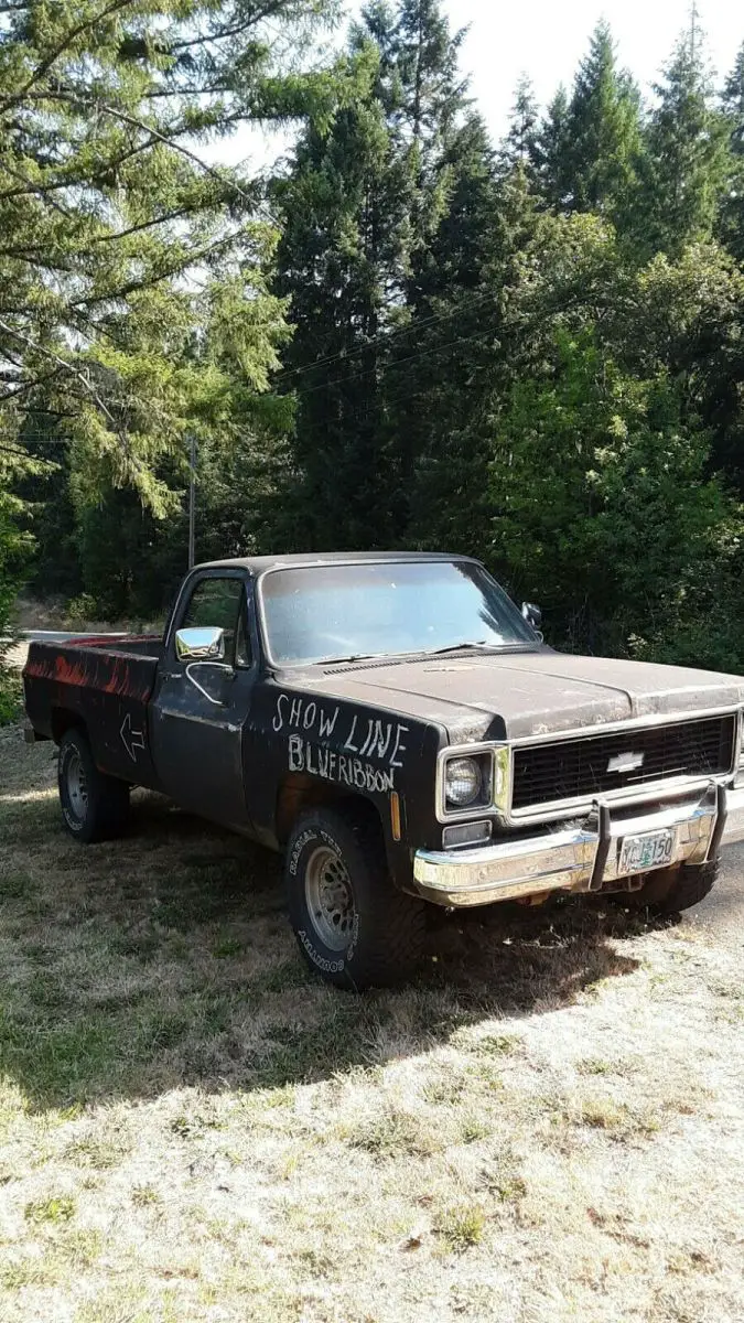 1973 Chevrolet Other Pickups