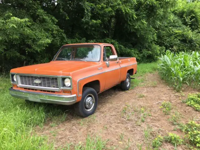 1973 Chevrolet C/K Pickup 1500 Cheyenne