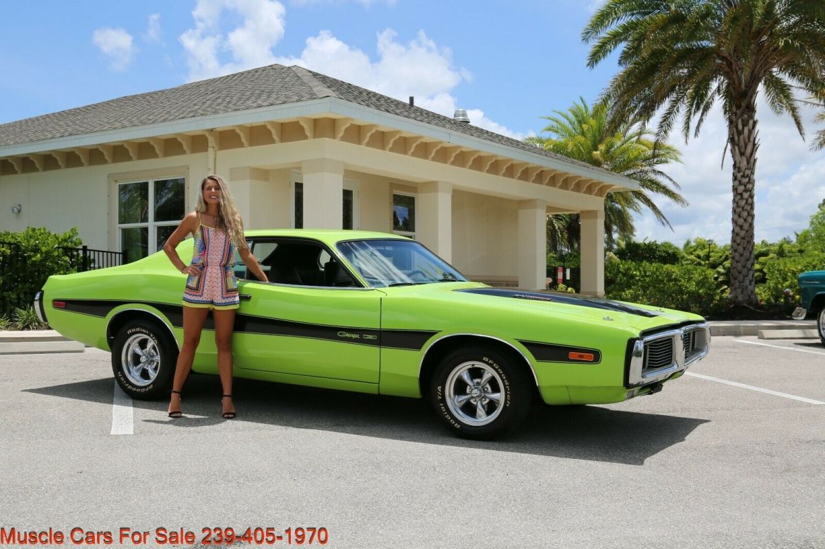 1973 Dodge Charger 340 Charger # Match