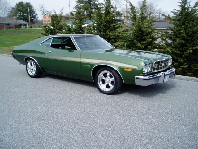 1973 Ford Torino SPORT