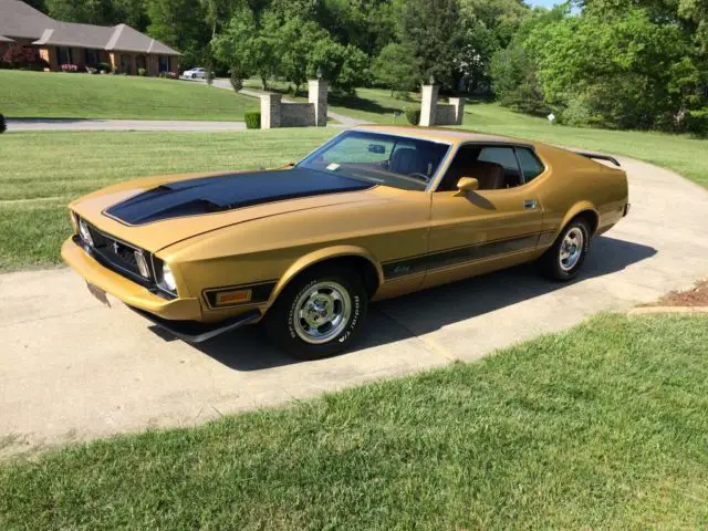 1973 Ford Mustang Mach 1