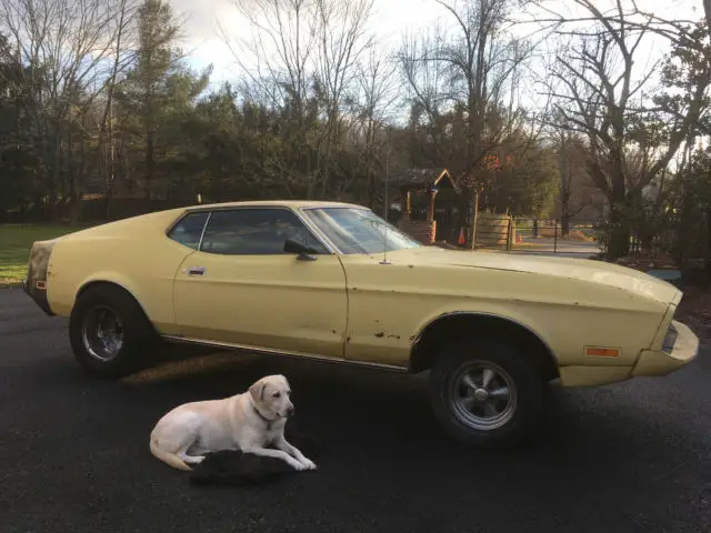 1973 Ford Mustang Base Fastback 2-Door