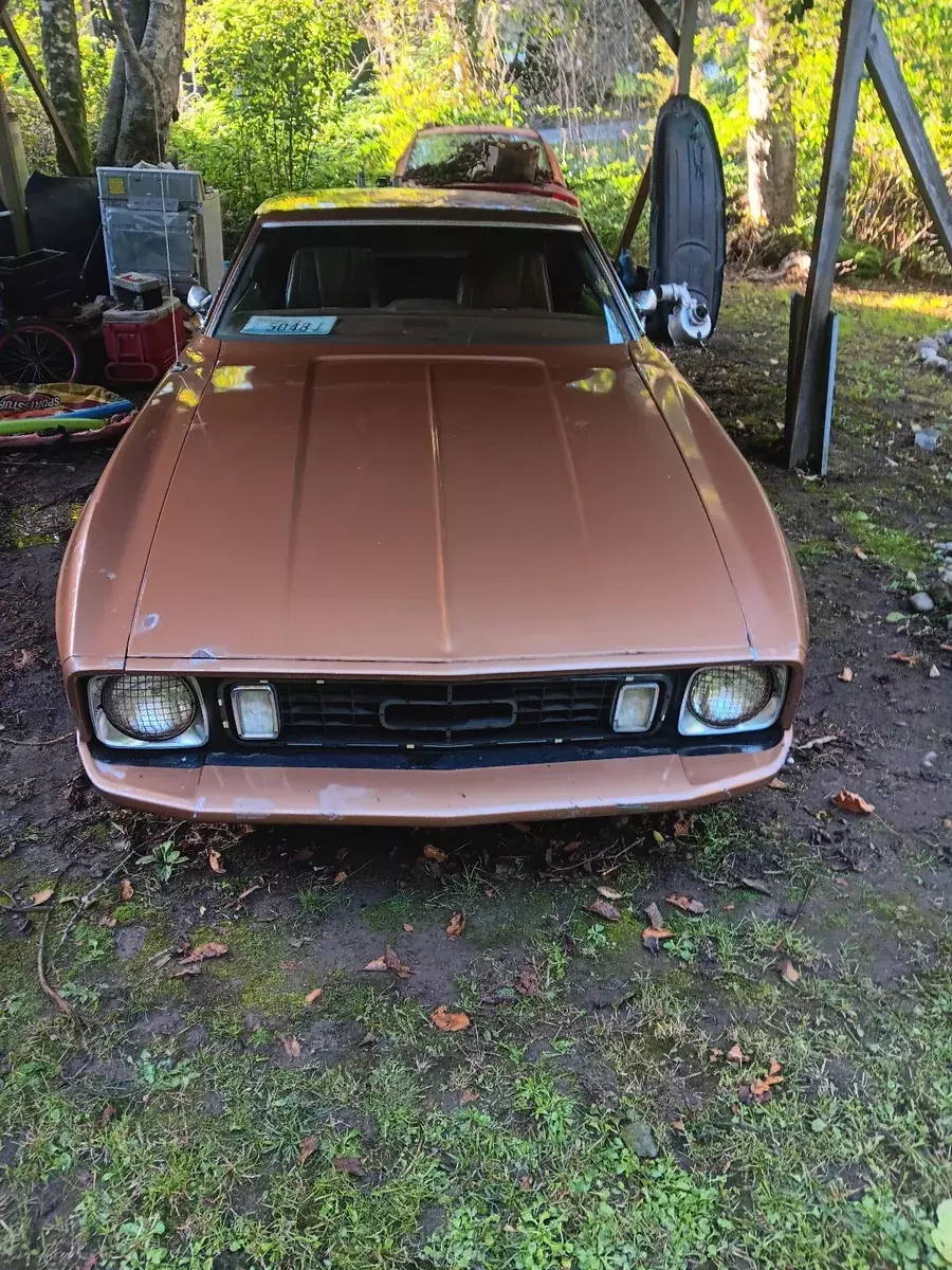 1973 Ford Mustang