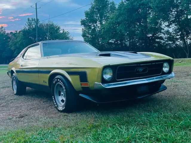 1973 Ford Mustang