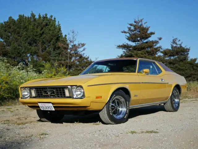 1973 Ford Mustang