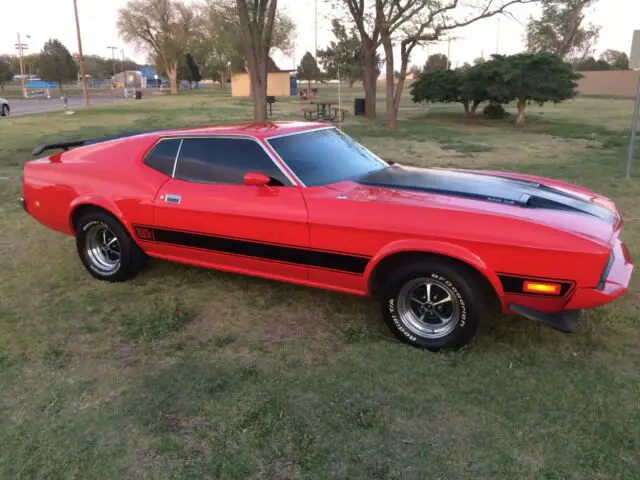 1973 Ford Mustang sport roof