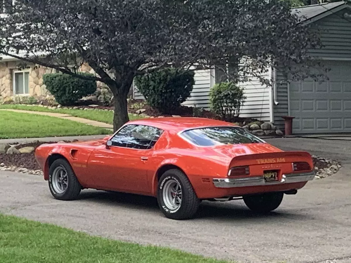 1973 Pontiac Firebird standard