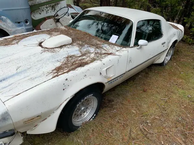 1973 Pontiac Trans Am