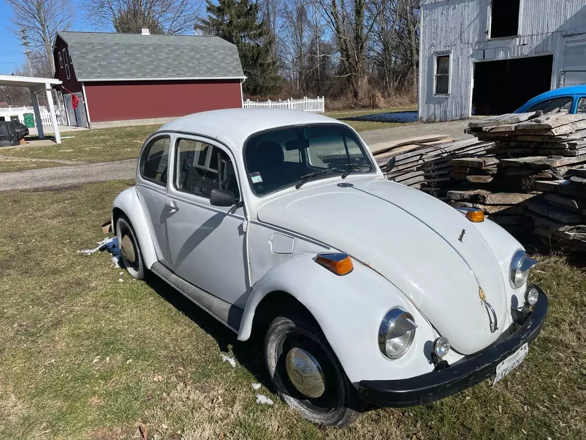 1973 Volkswagen Beetle (Pre-1980)