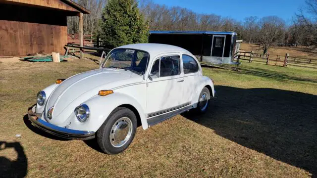 1973 Volkswagen Beetle (Pre-1980)