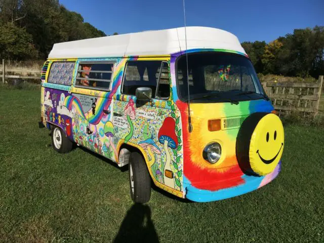 1973 Volkswagen Bus/Vanagon