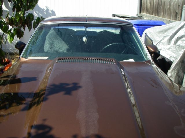 1974 Chevrolet Corvette Hardtop, T's