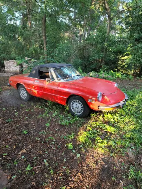 1974 Alfa Romeo Spider