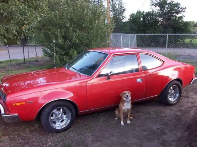 1974 AMC Hornet Base Hatchback 2-Door