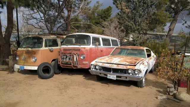 1974 Volkswagen Bus/Vanagon 11 window