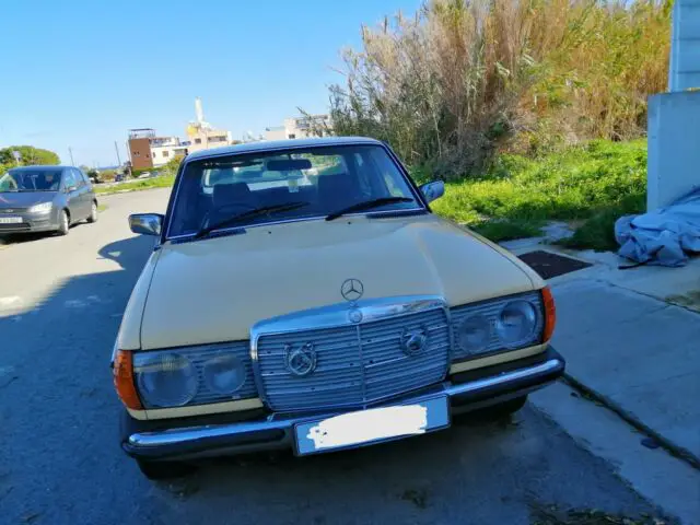 1974 Mercedes-Benz 300-Series Leather