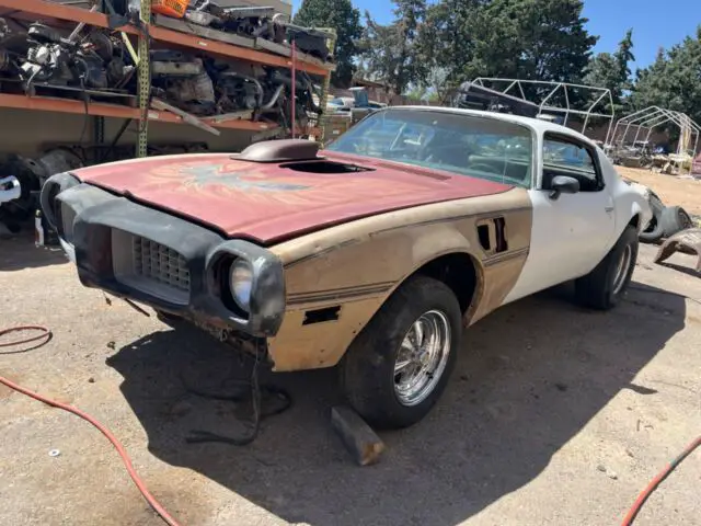 1974 Pontiac Firebird Trans Am