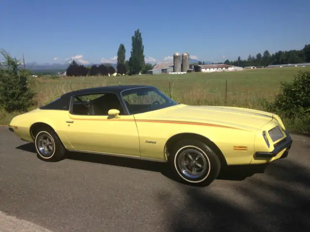 19740000 Pontiac Firebird