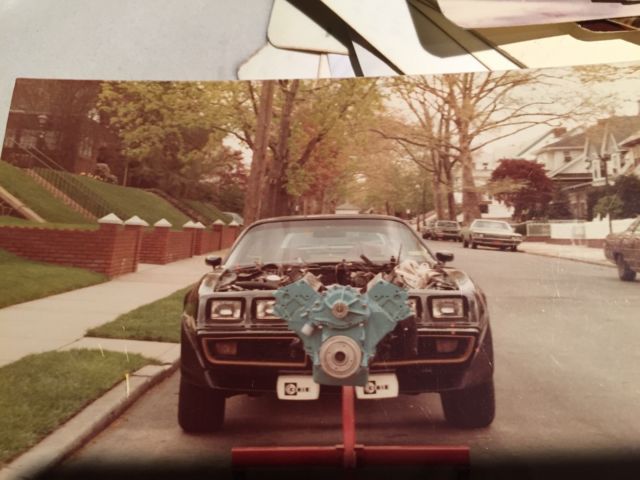 1979 Pontiac Firebird Special Edition