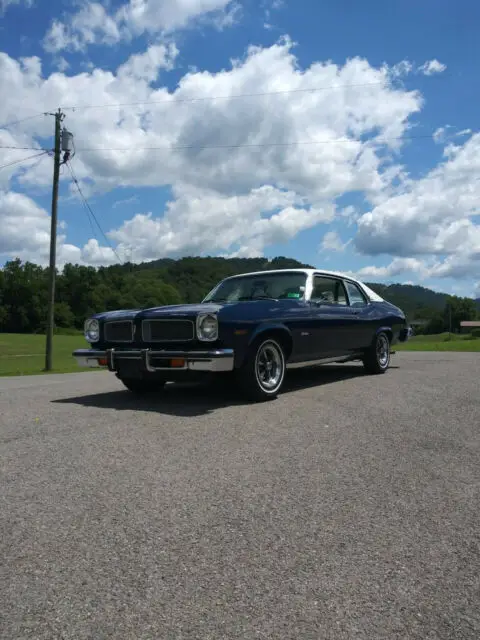 1974 Pontiac Ventura Custom