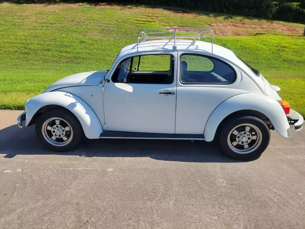 1974 Volkswagen Beetle (Pre-1980)