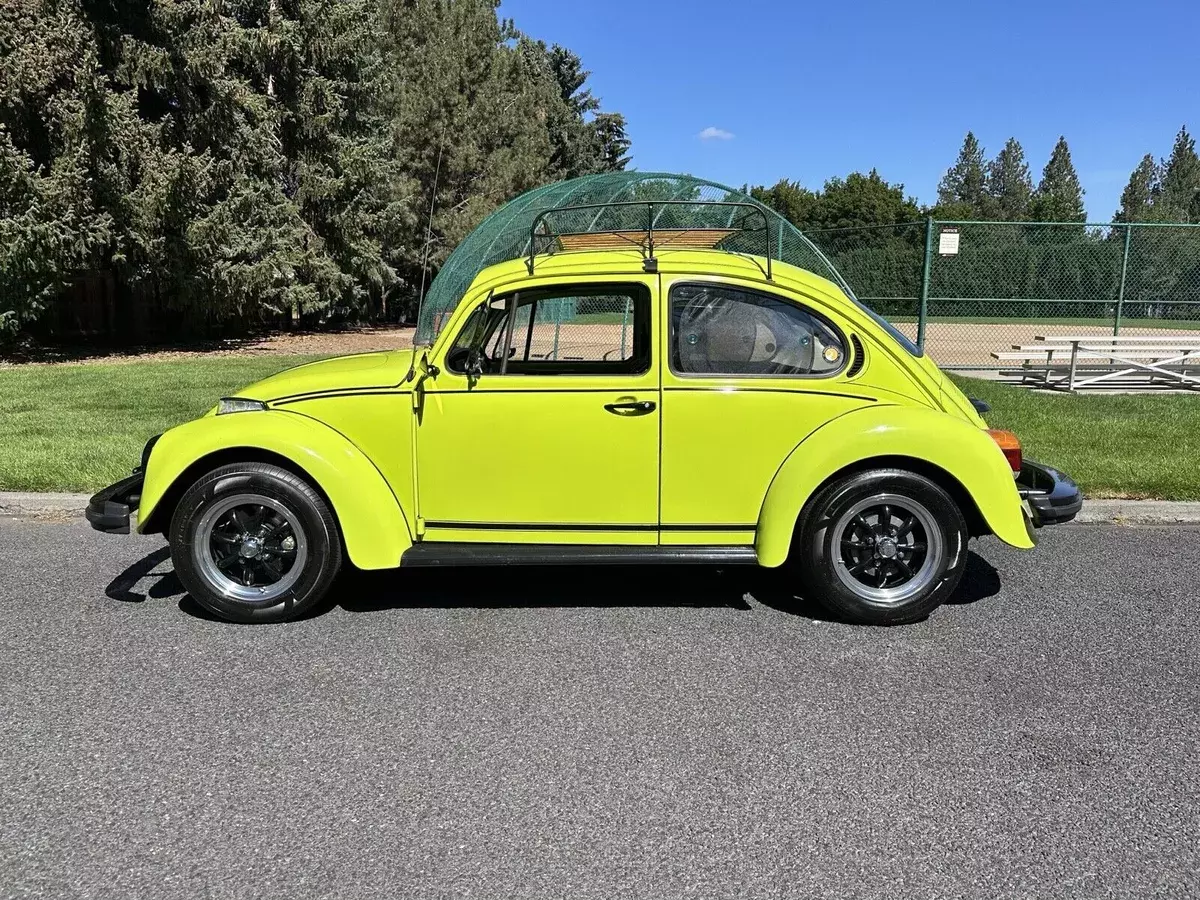 1974 Volkswagen Beetle (Pre-1980) love bug