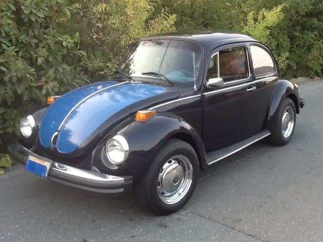 1974 Volkswagen Beetle - Classic