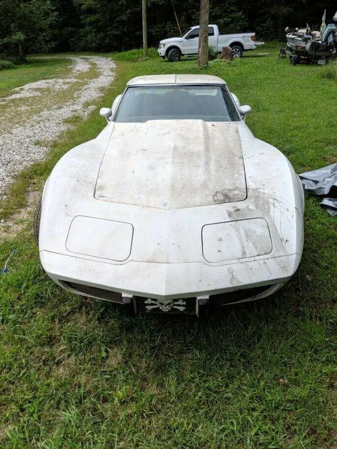 1975 Chevrolet Corvette