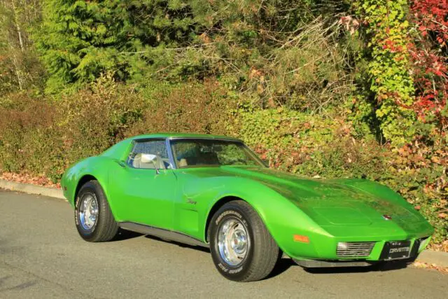 1975 Chevrolet Corvette