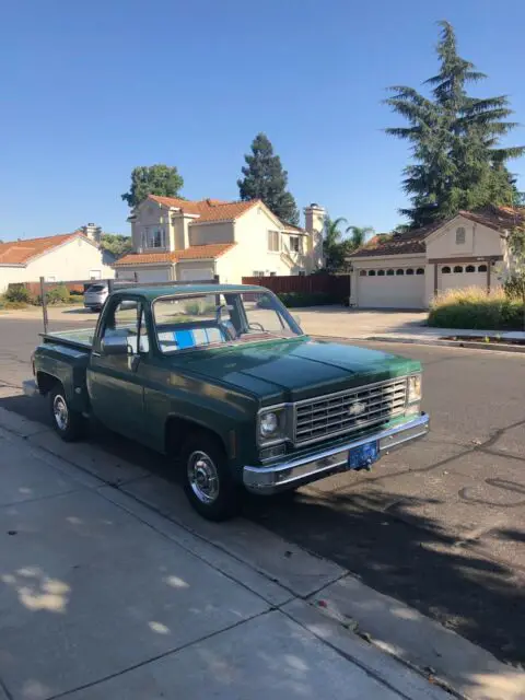 1975 Chevrolet Other Pickups