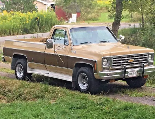 1975 Chevrolet C/K Pickup 2500 camper special