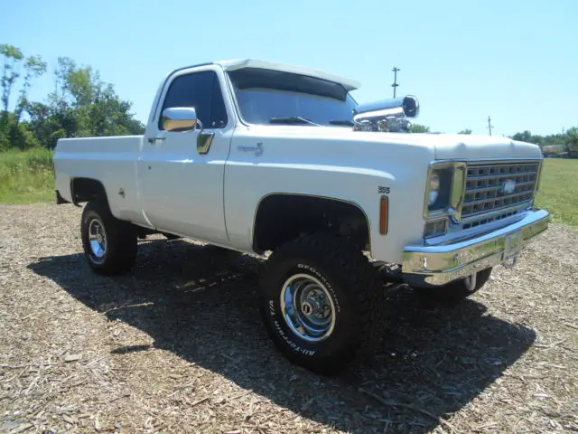 1975 Chevrolet Other Pickups