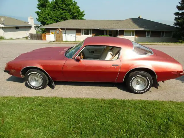 1975 Pontiac Firebird firebird