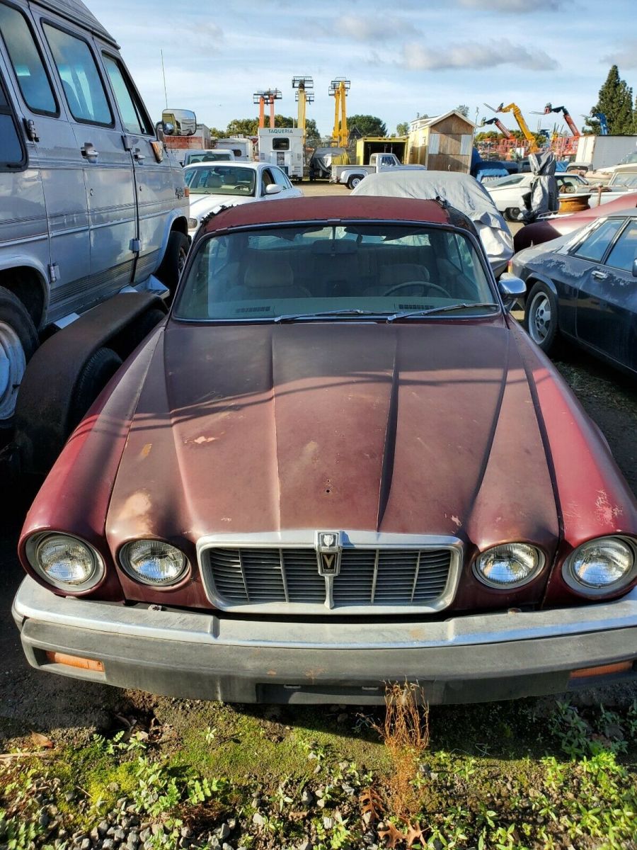 1975 Jaguar XJ12 coupe