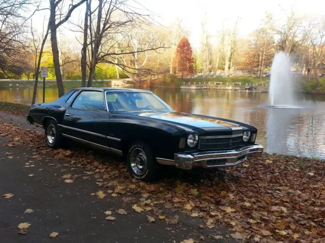 1975 Chevrolet Monte Carlo