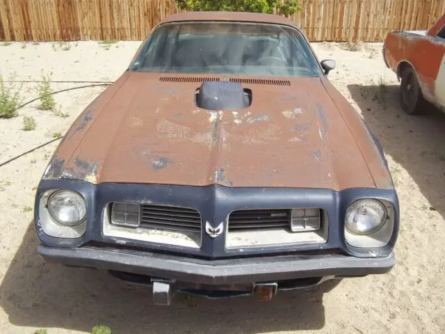 1975 Pontiac Firebird Trans AM