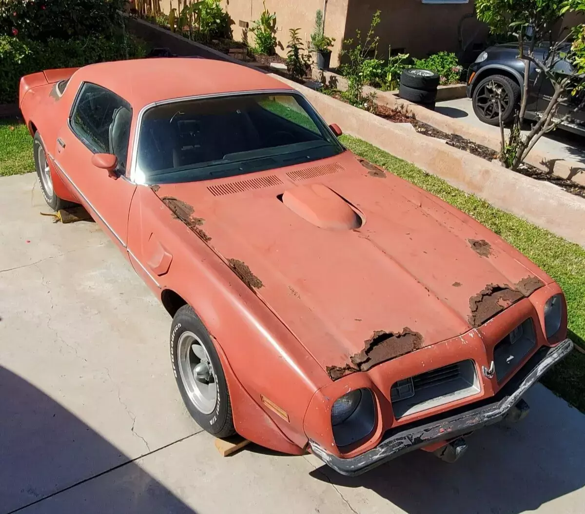 1975 Pontiac Trans Am