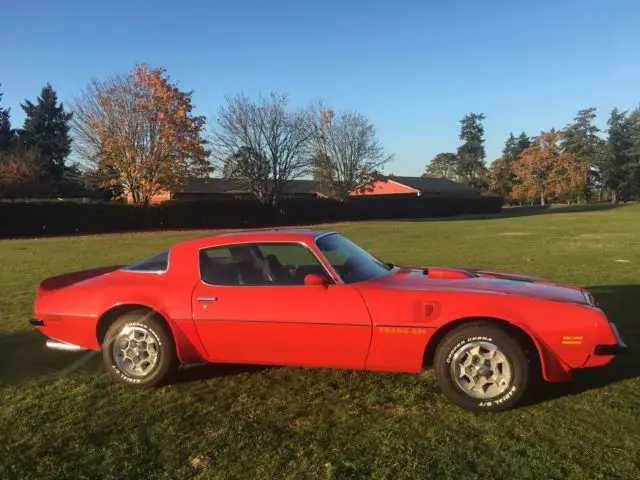 1975 Pontiac Trans Am TRAN-AM