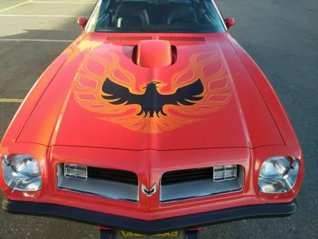 1975 Pontiac Firebird TRANS AM