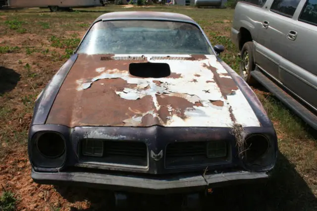 1975 Pontiac Trans Am