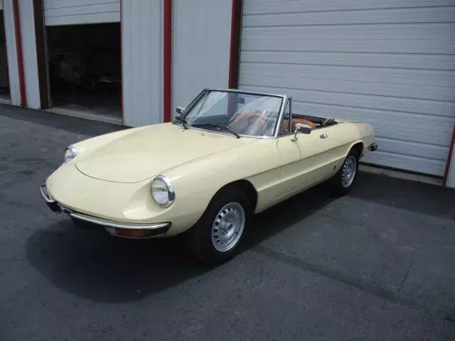 1976 Alfa Romeo Spider