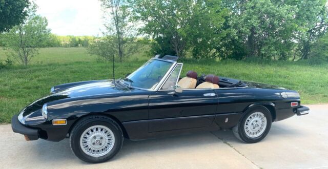 1976 Alfa Romeo Spider