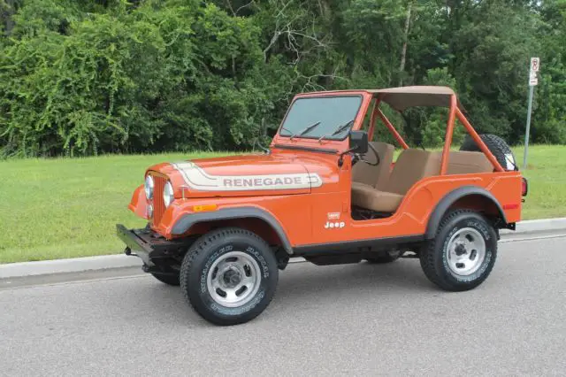 1976 Jeep CJ Renegade LEVI