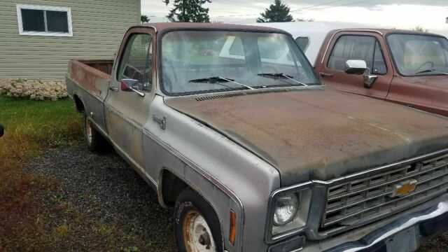 1976 Chevrolet C-10 Bonanaza