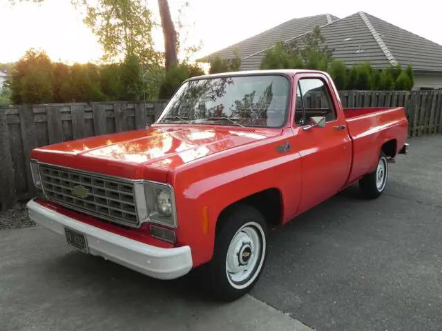 1976 Chevrolet C-10 C-10