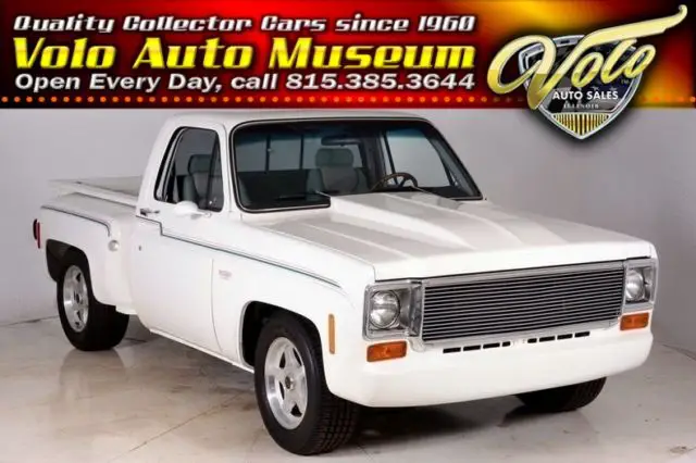 1976 Chevrolet Other Pickups Stepside