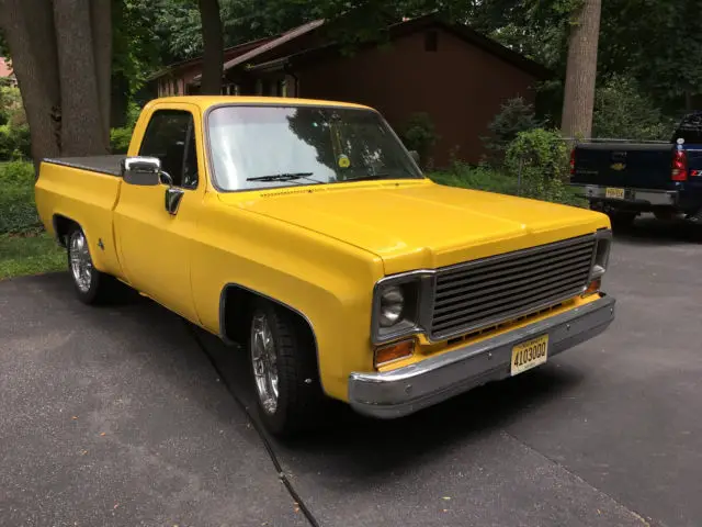 1976 Chevrolet C-10 Fleetside